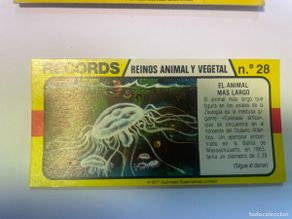 Colecionismo Cromos antigos: Cromo BIMBO. Records. Reino animal y vegetal. Nº28. Animal más largo del mundo. tdkc1